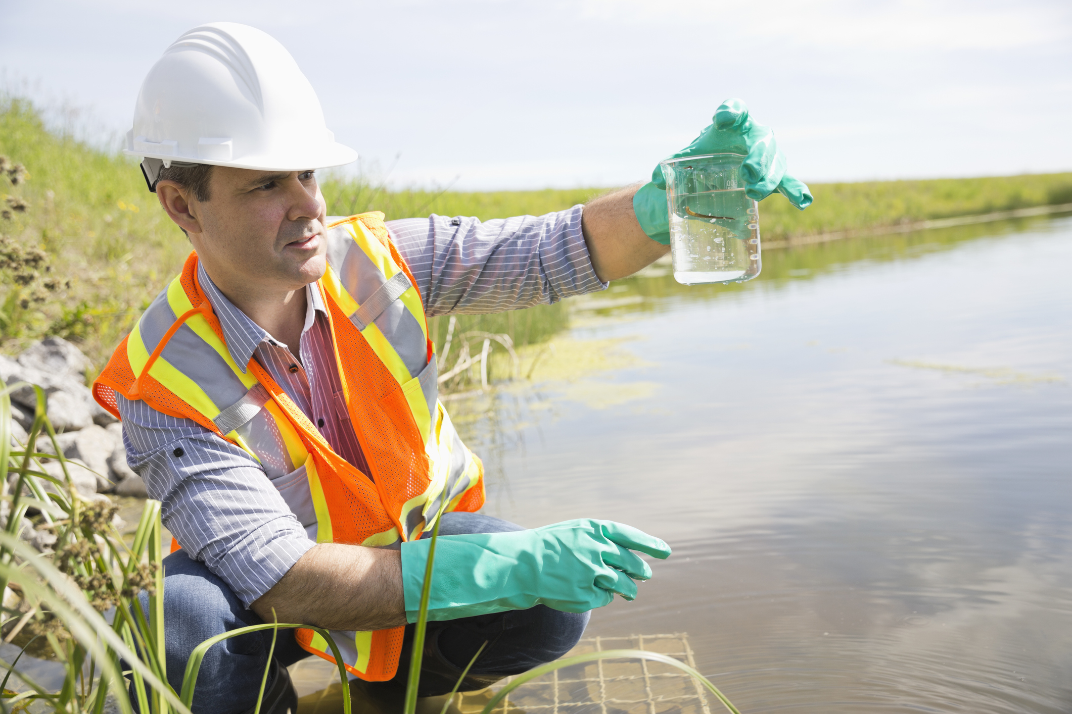 ecologist crouched streamside holding beaker of water up to the light to examine the sample